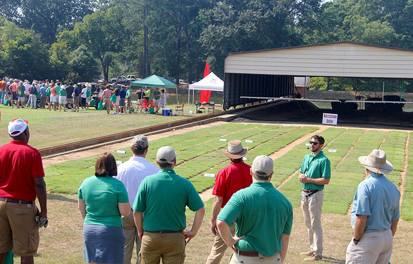 UGA Tufgrass Research Field Day
