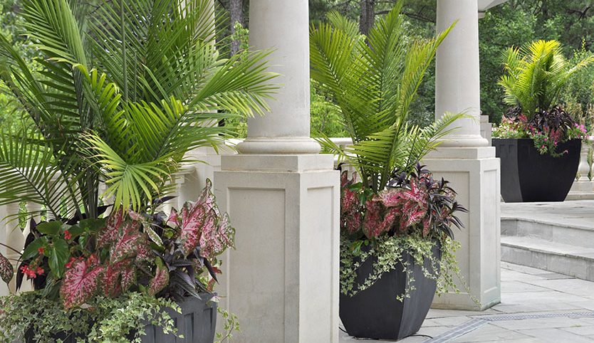 Chatham Landscape Services