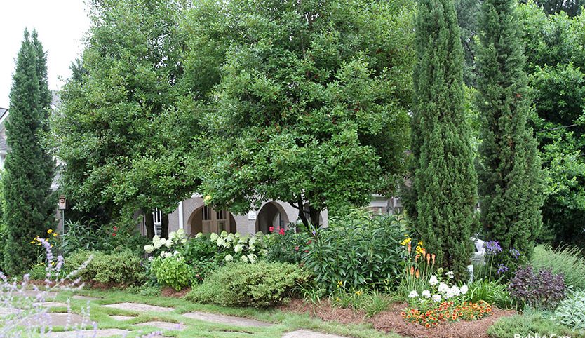 Home & Garden Design