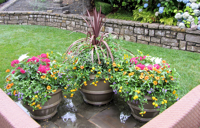 To Plant or Not to Plant? The Low-Down on Fabric Containers » Other »Holden  Forests & Gardens