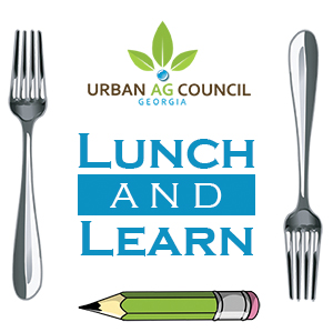 Lunch + Learn