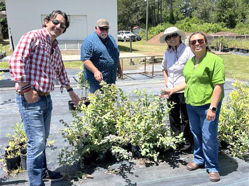 BB Breeding - Varieties_onlinemag Researchers in blueberry production and precision ag showcased their work on April 30.