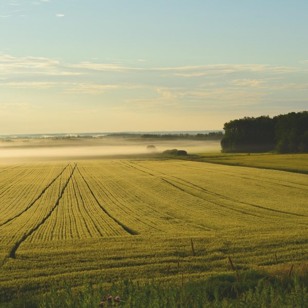 It’s not just for farmers