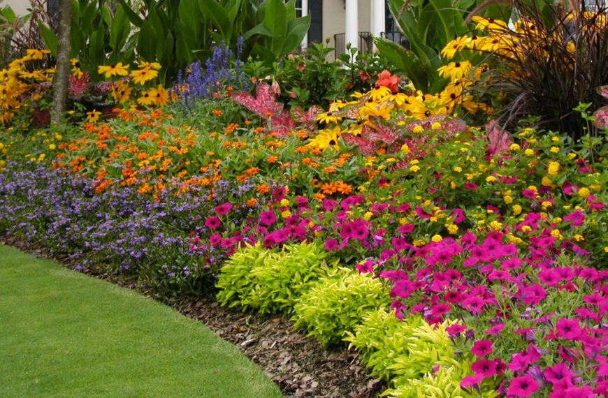 Shine a light on your best work: Enter the 2026 GALA awards