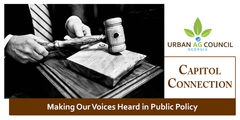 UACcapitol_connection_header_onlinemag UACcapitol_connection_header_onlinemag