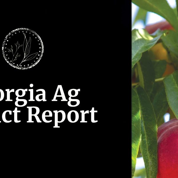 Ag Impact Report