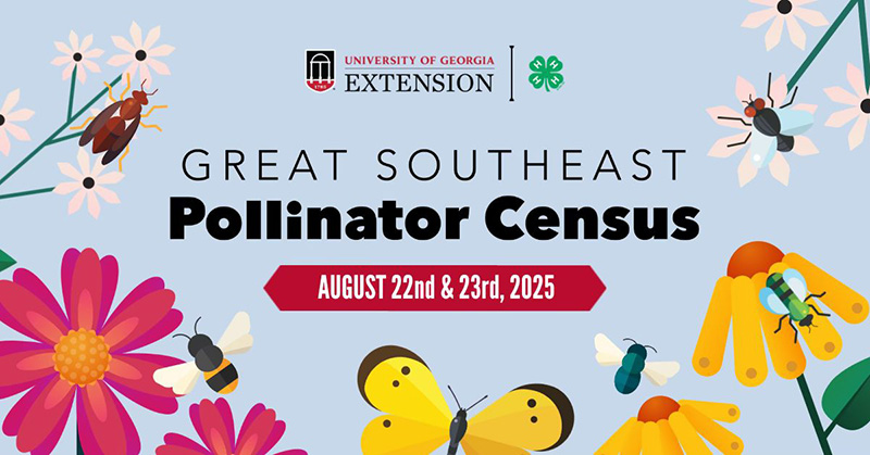 harris_Pollinator Census Flyer_onlinemag