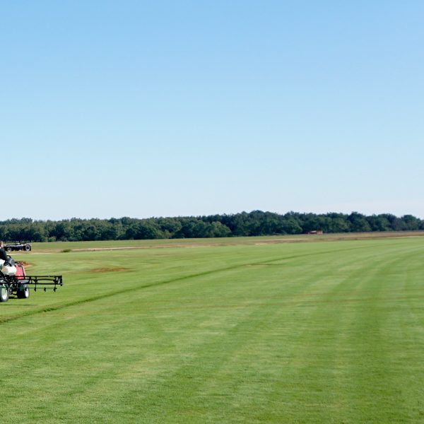 2025 Sod Producers Report