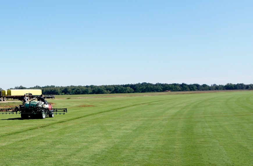 2025 Sod Producers Report