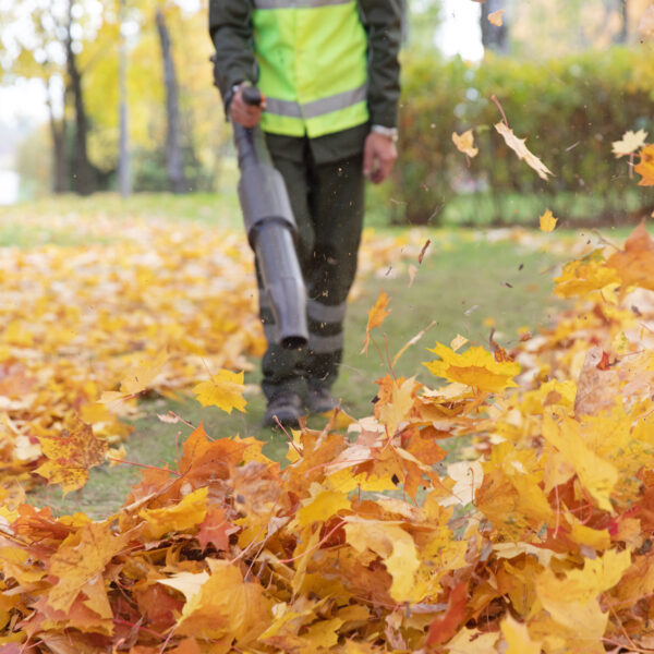 landscape professional using backpack leaf blower