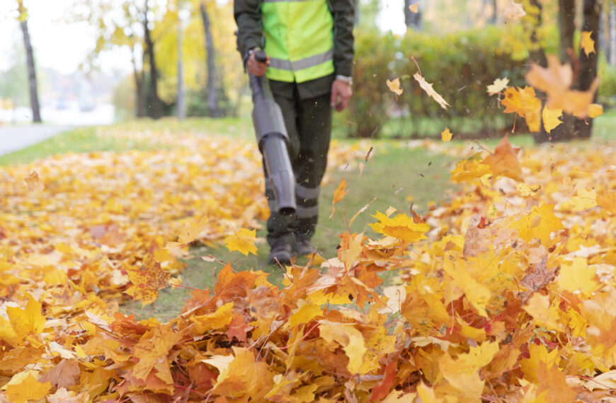 landscape professional using backpack leaf blower