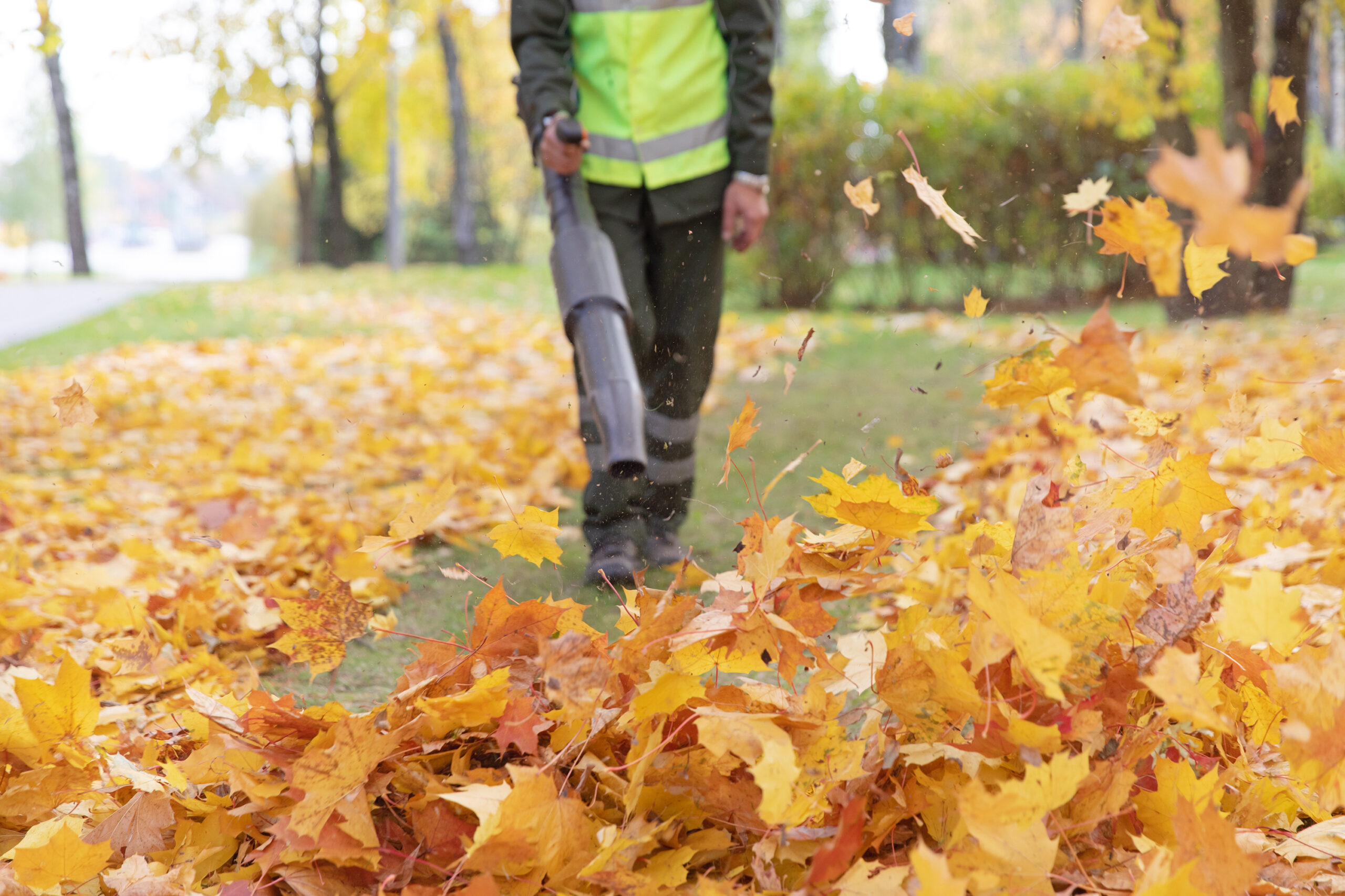 landscape professional using backpack leaf blower