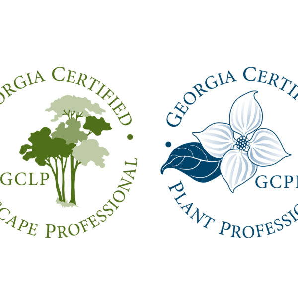 New coordinator for GCLP and GCPP