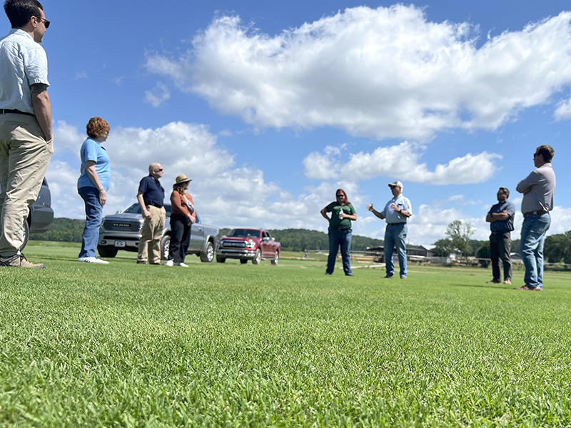 This summer, we brought a group of water conservation enthusiasts to a sod farm near Atlanta, Georgia, for an up-close look at some of the newest turfgrass options making waves in southern landscapes.