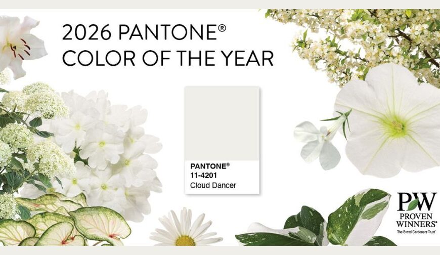 Bring Pantone’s 2026 Color of the Year to the Georgia Landscape