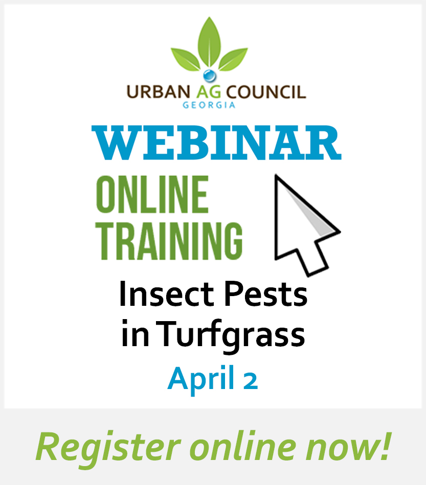 headline_LunchLearn_insect_pests