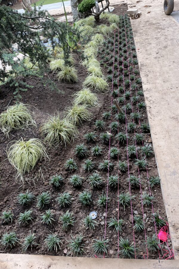 ChristiansonResidence05