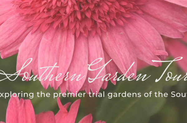 Registration Now Open for the 2026 Southern Garden Tour