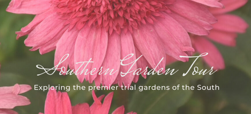 Registration Now Open for the 2026 Southern Garden Tour