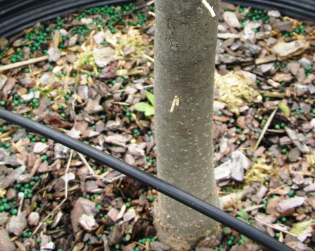 Figure6