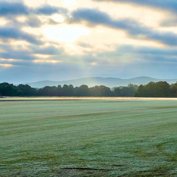 2026 Annual Georgia Sod Producers Inventory Survey