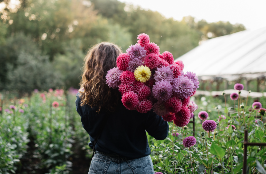 Growing Together: The Rise of Georgia’s Cut Flower Industry