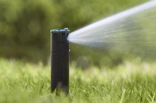 Conserving Water Starts with Us