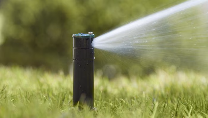 Conserving Water Starts with Us
