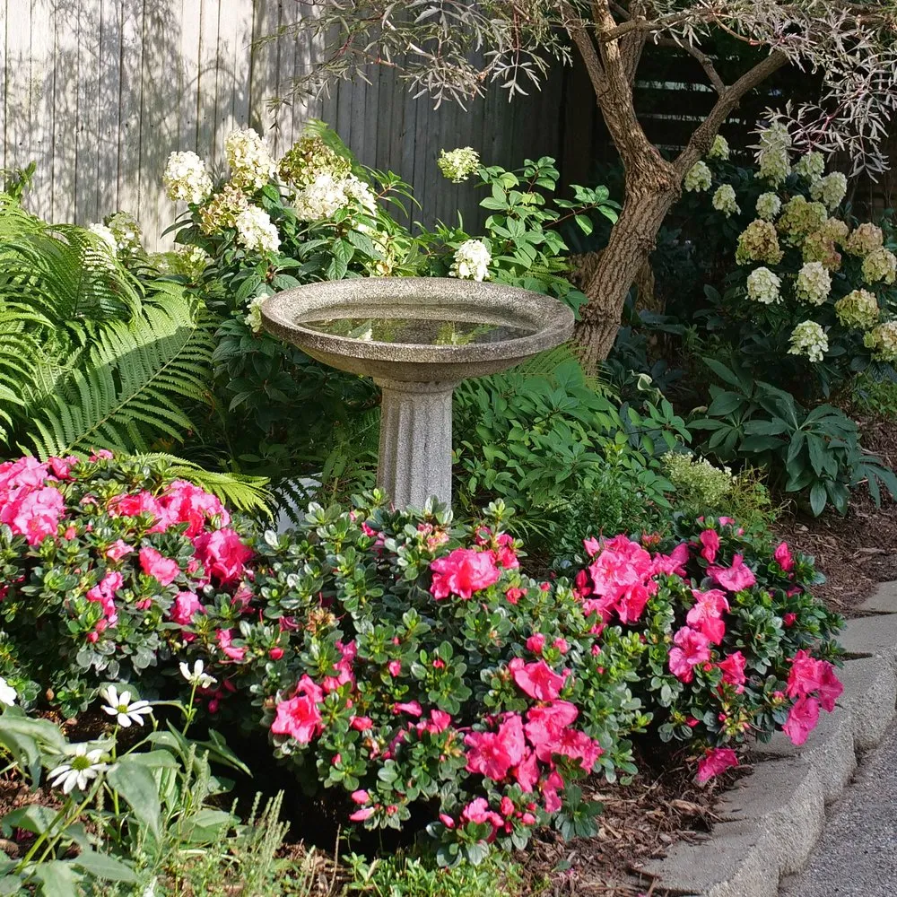 size_Perfecto-Mundo-Epic-Pink-with-Bird-Bath