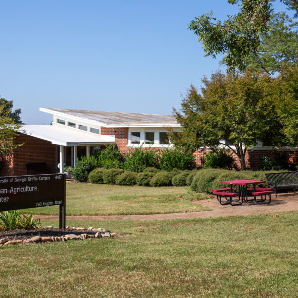 UGA’s Center for Urban Agriculture supports green spaces in Georgia