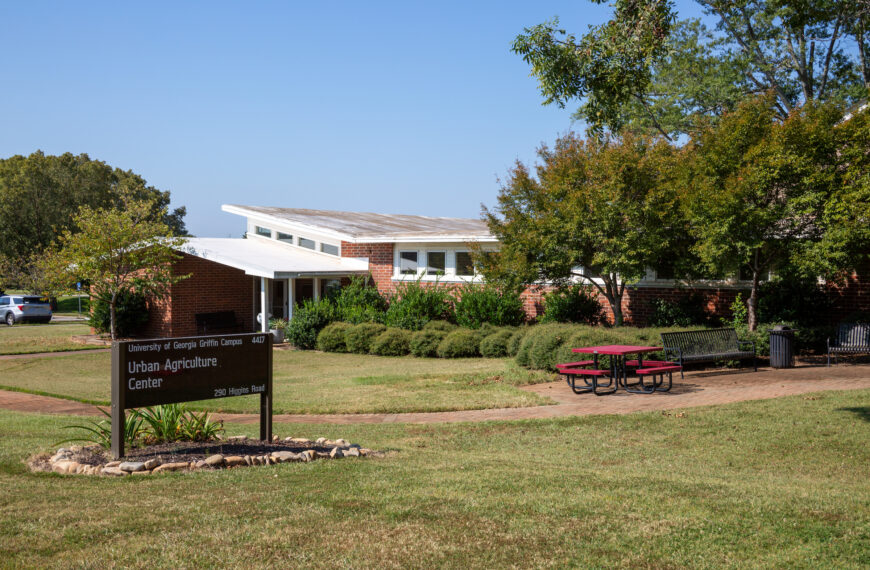 UGA’s Center for Urban Agriculture supports green spaces in Georgia